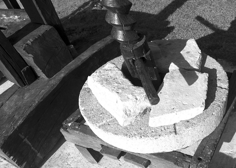 borisToplicanec (15)